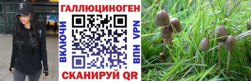 Псилоцибиновые грибы прущие грибы кракен сайт Новое Девяткино
